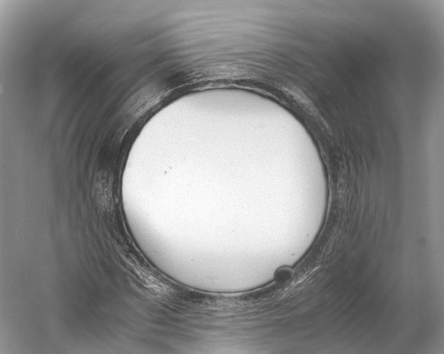 X0000060800873200512011730