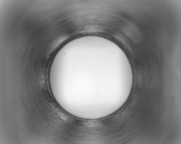 X0000060800874200512011730