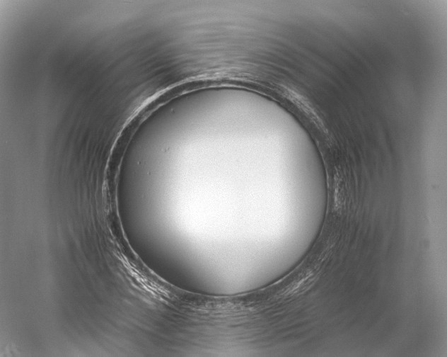 X0000060800876200512011730