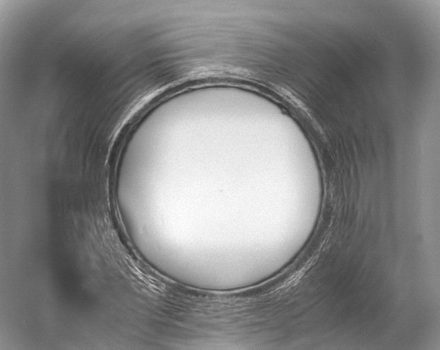 X0000060800877200512011730