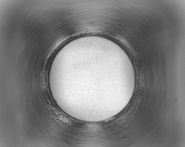 X0000060800878200512011730