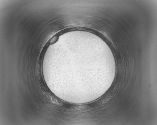 X0000060800879200512011730