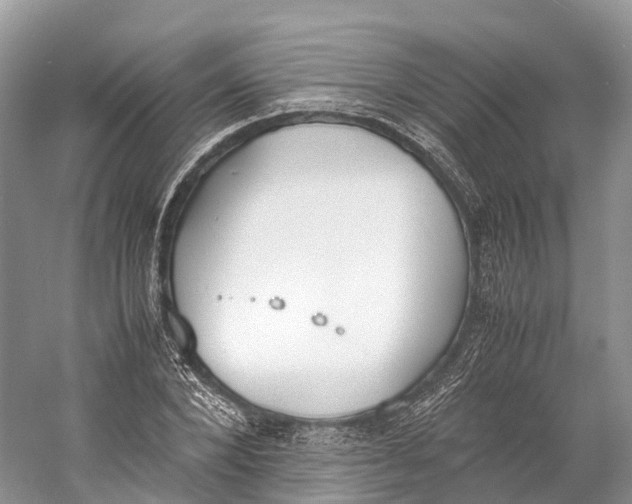 X0000060800880200512011730