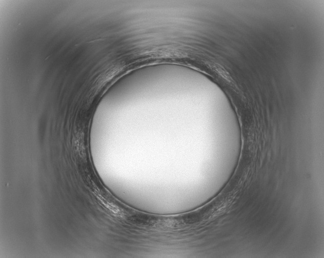 X0000060800881200512011730