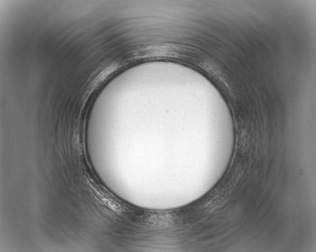 X0000060800882200512011730