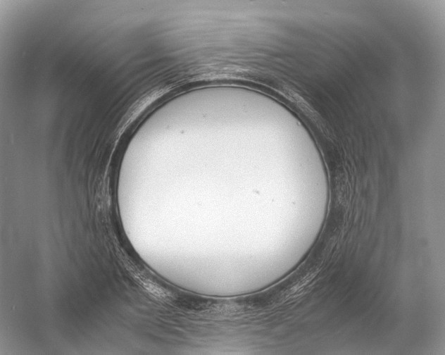 X0000060800885200512011730