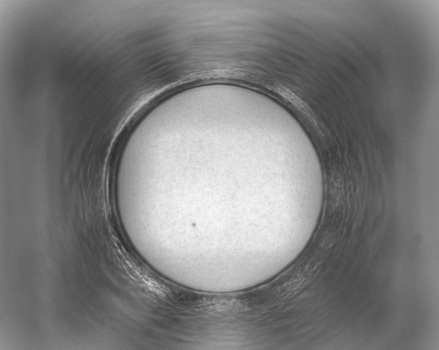 X0000060800886200512011730