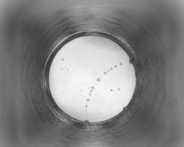 X0000060800887200512011730