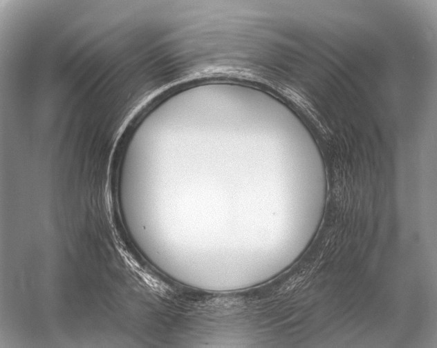 X0000060800888200512011730