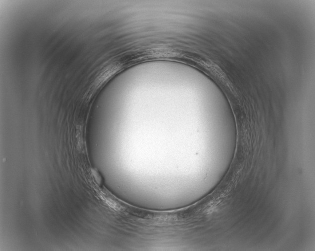 X0000060800889200512011730