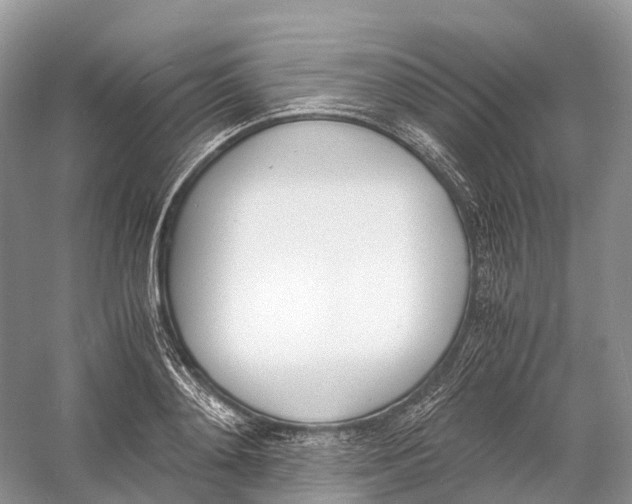 X0000060800892200512011730