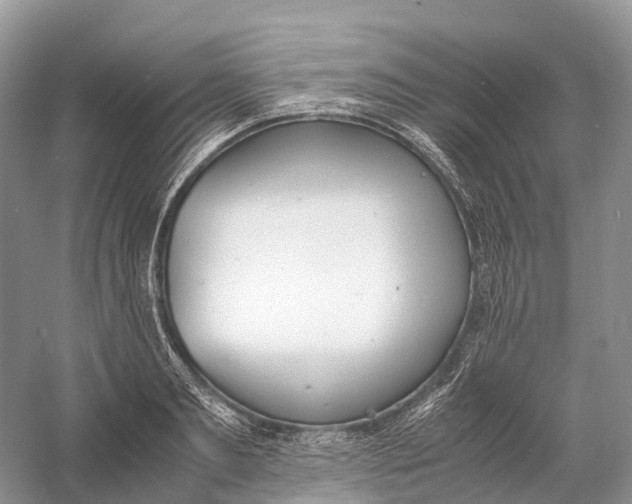 X0000060800893200512011730