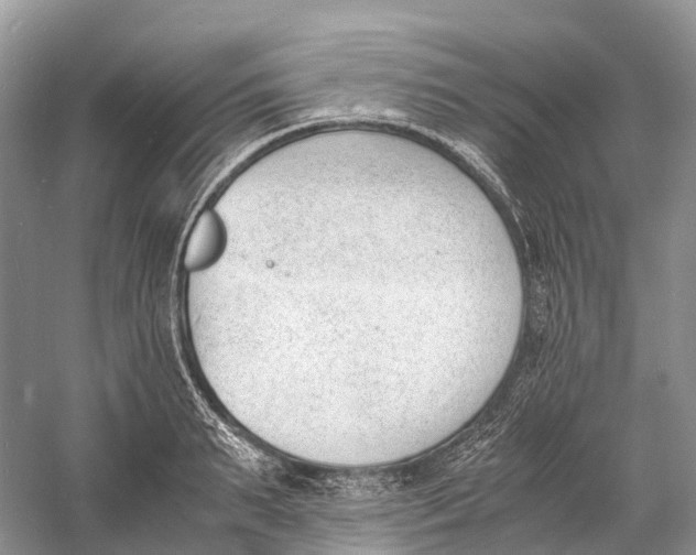 X0000060800895200512011730