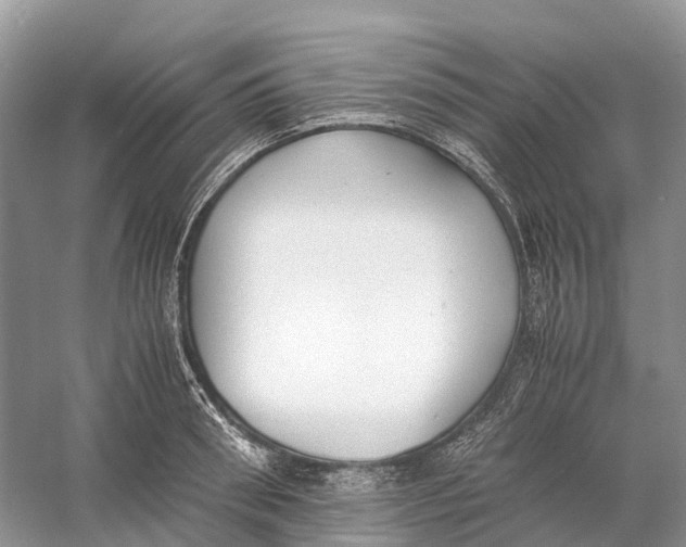 X0000060800898200512011730