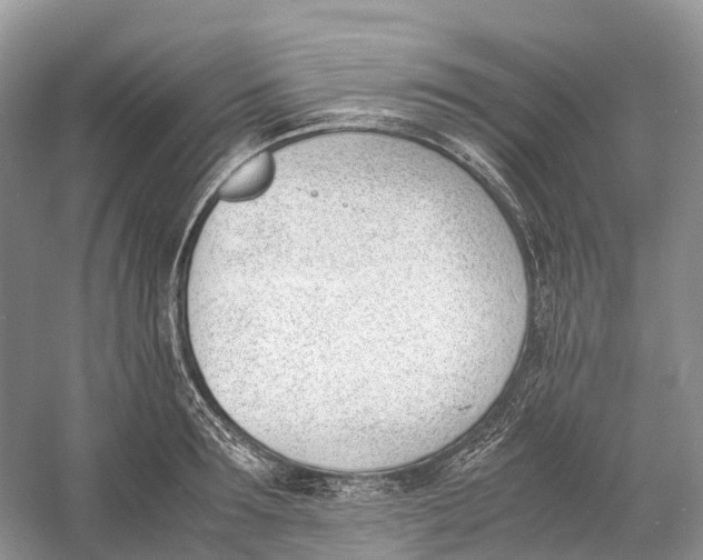 X0000060800899200512011730