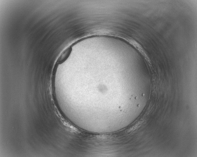 X0000060800904200512011729