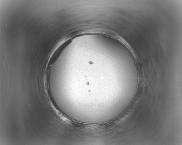 X0000060800909200512011729