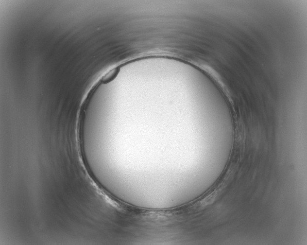 X0000060800910200512011729