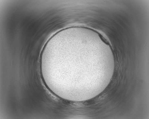 X0000060800911200512011729