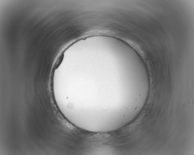 X0000060800912200512011729