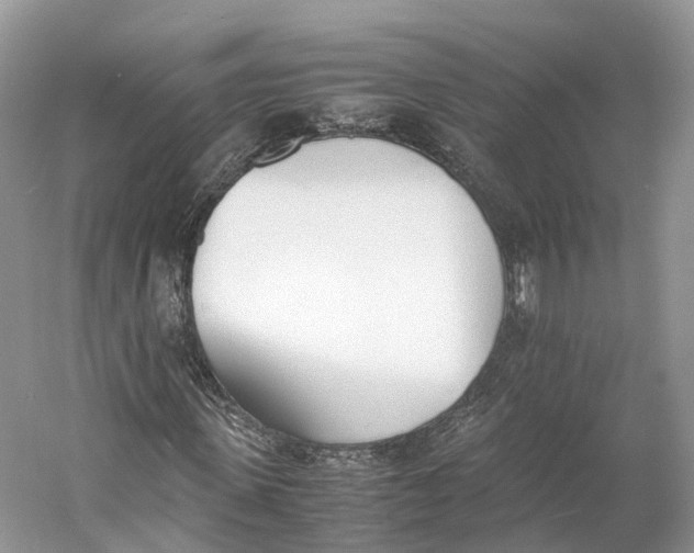 X0000060800915200512011728