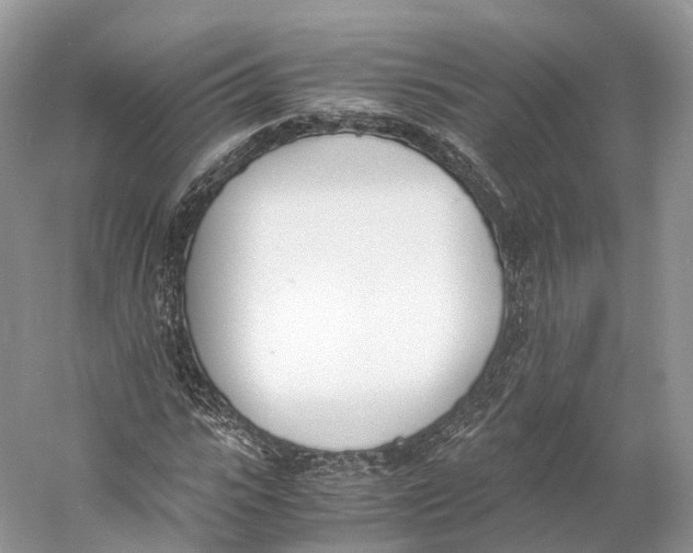 X0000060800919200512011729