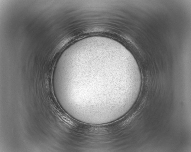 X0000060800921200512011729