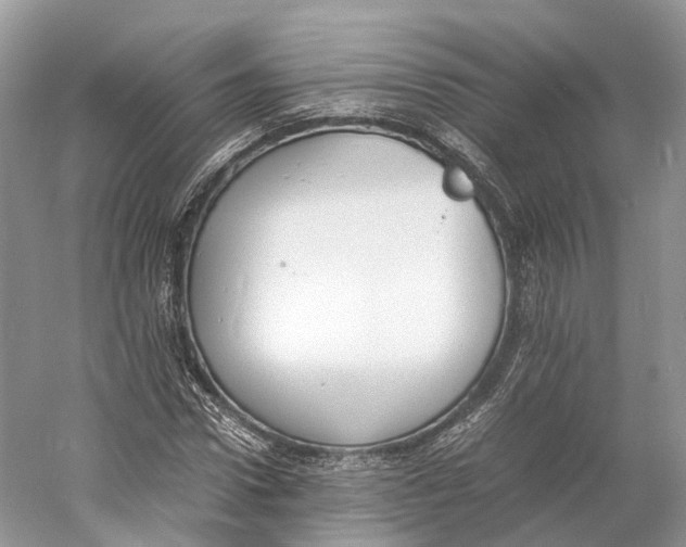 X0000060800922200512011729