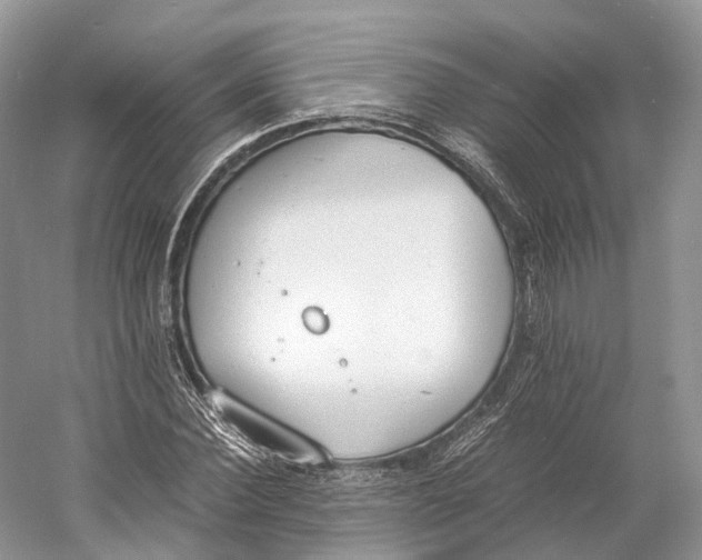 X0000060800924200512011729