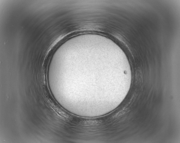 X0000060800925200512011729