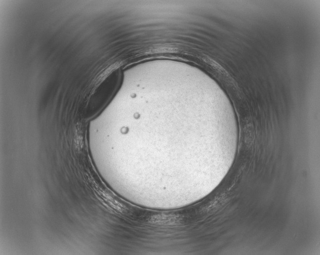 X0000060800929200512011729