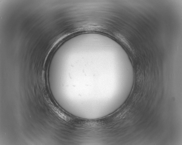 X0000060800932200512011729