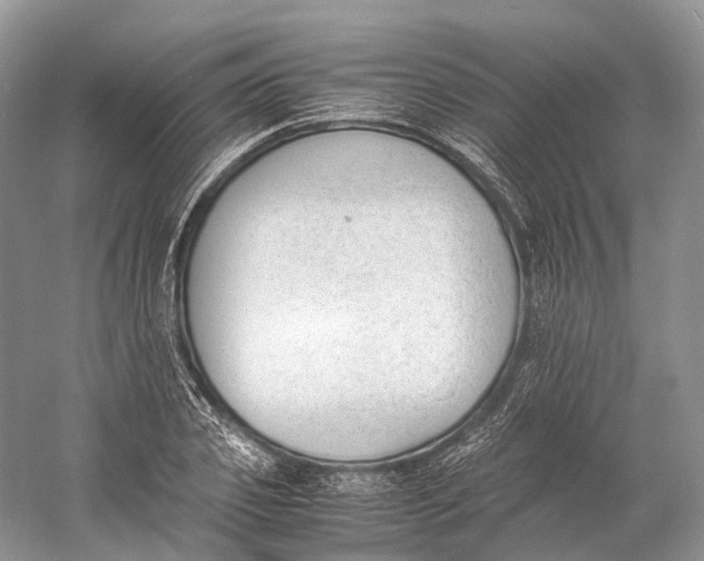 X0000060800933200512011729