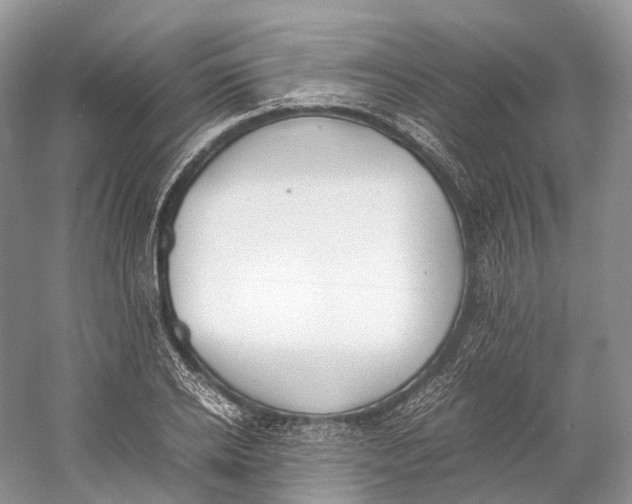 X0000060800934200512011729