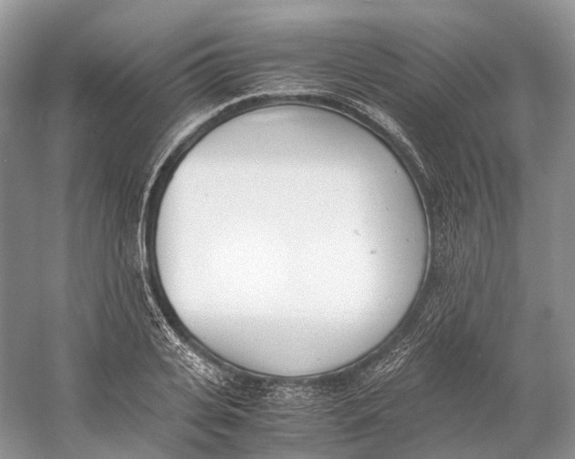 X0000060800935200512011729