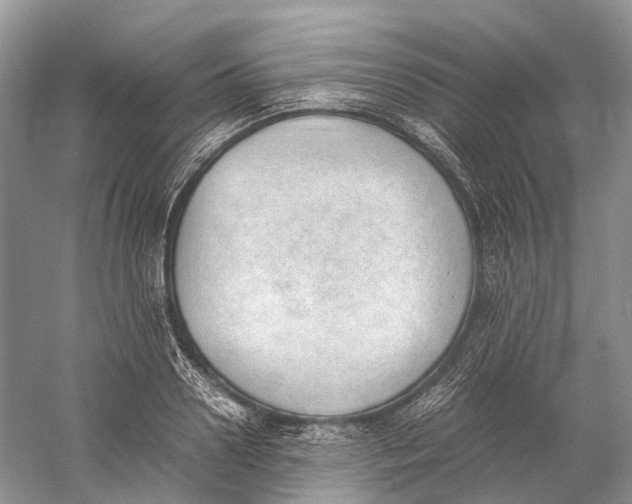 X0000060800938200512011729