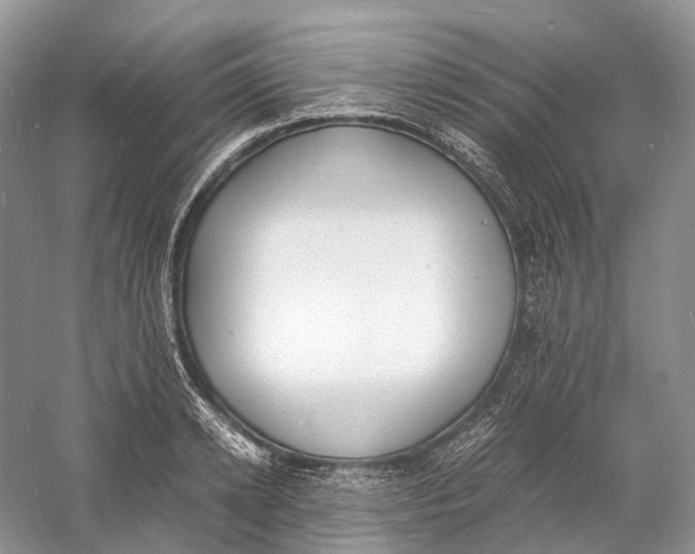 X0000060800942200512011729