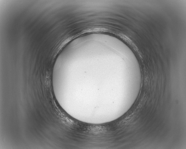 X0000060800945200512011729