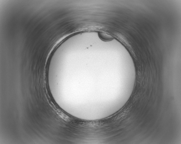 X0000060800948200512011729