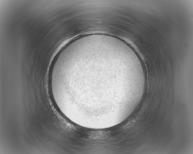 X0000060800949200512011729