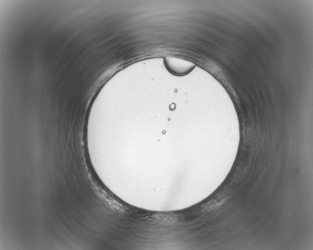 X0000060800954200512011729