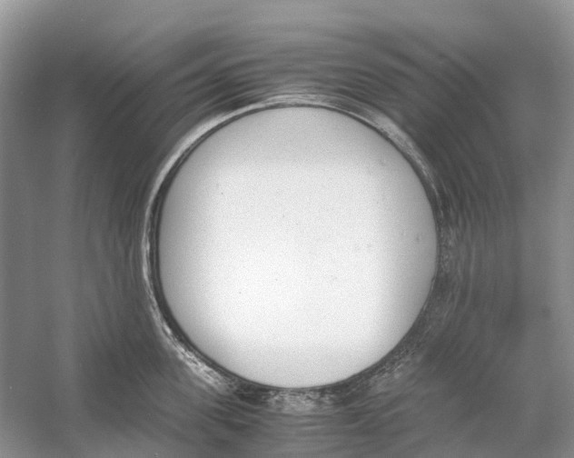 X0000060800955200512011729