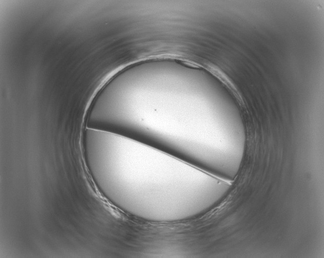 X0000060800956200512011729