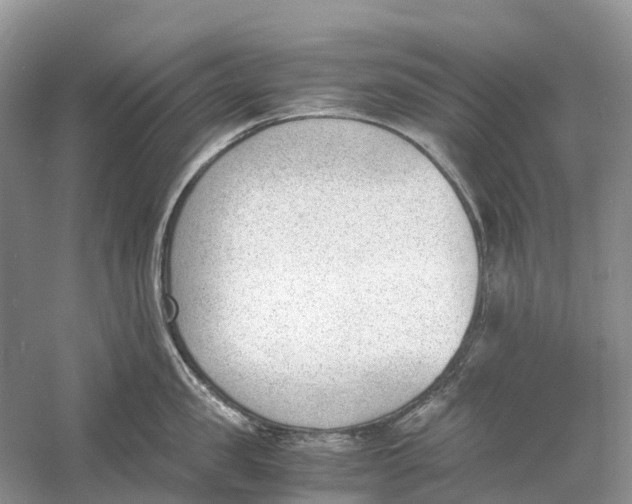 X0000060800957200512011729