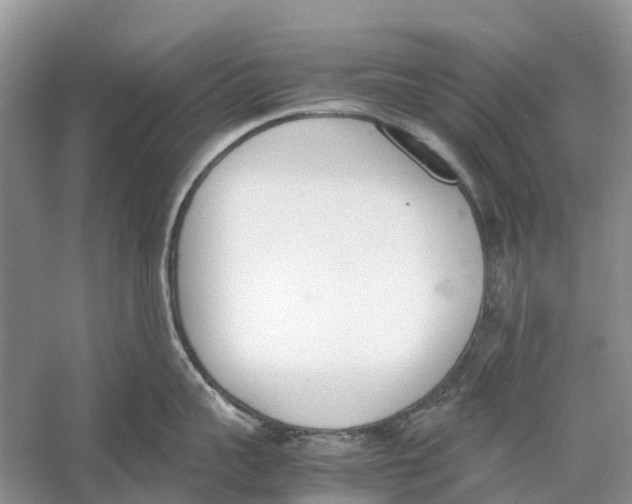 X0000060800959200512011729