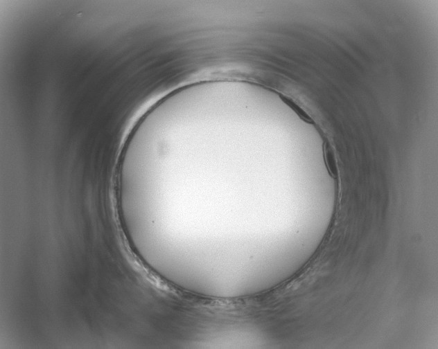 X0000060800960200512011729