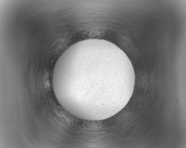 X0000060800962200512011728