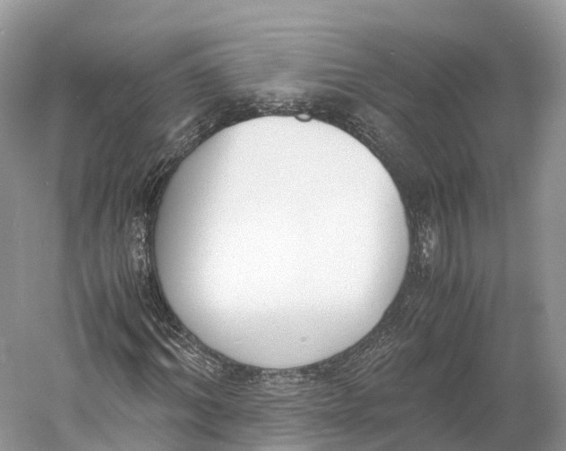 X0000060800964200512011728