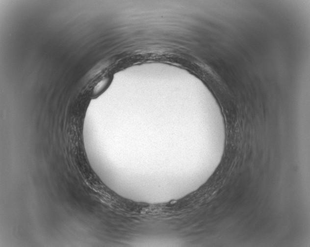 X0000060800967200512011728