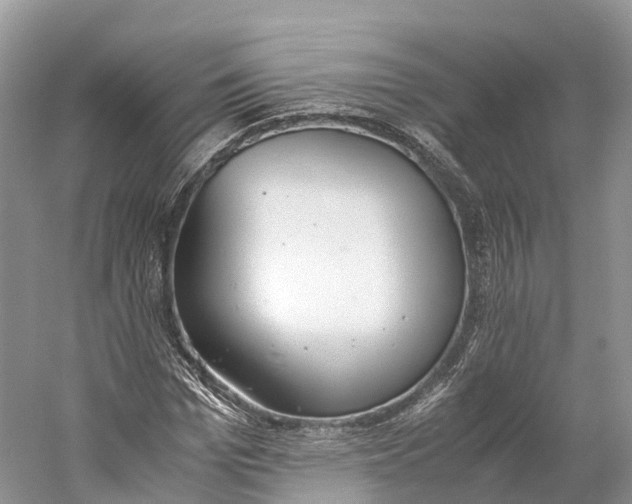 X0000060800969200512011728